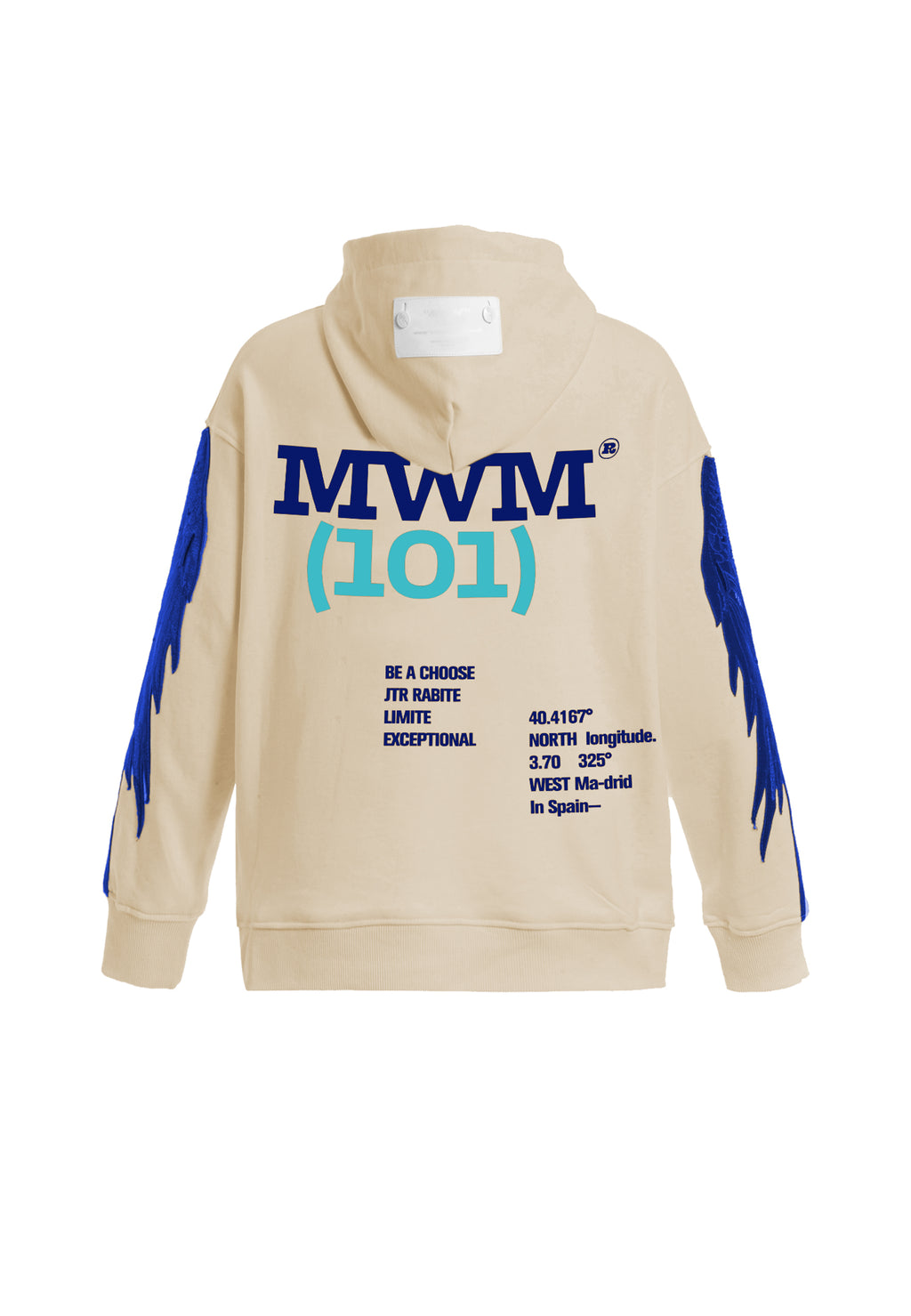 Sudadera con capucha y alas bordadas | MWM