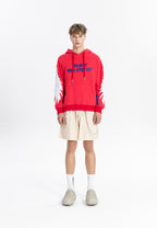 Sudadera con capucha y alas bordadas | MWM
