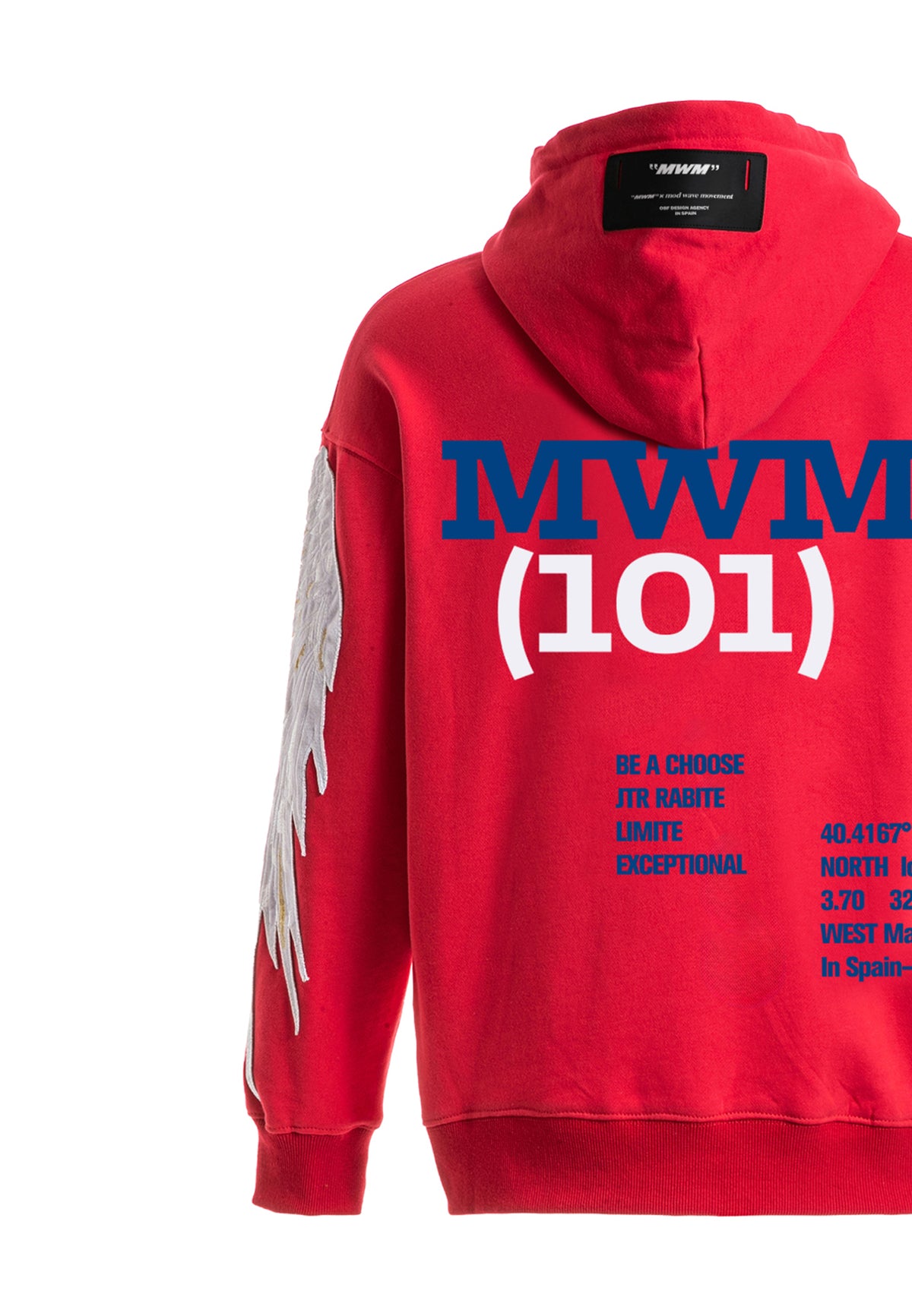 Sudadera con capucha y alas bordadas | MWM