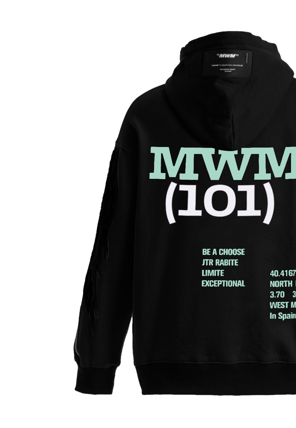 Sudadera con capucha y alas bordadas | MWM