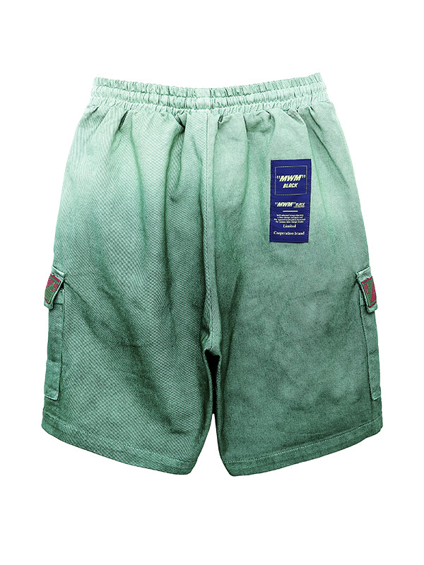 DISTRESSED SHORTS