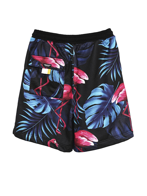 BERMUDA FLAMENCOS