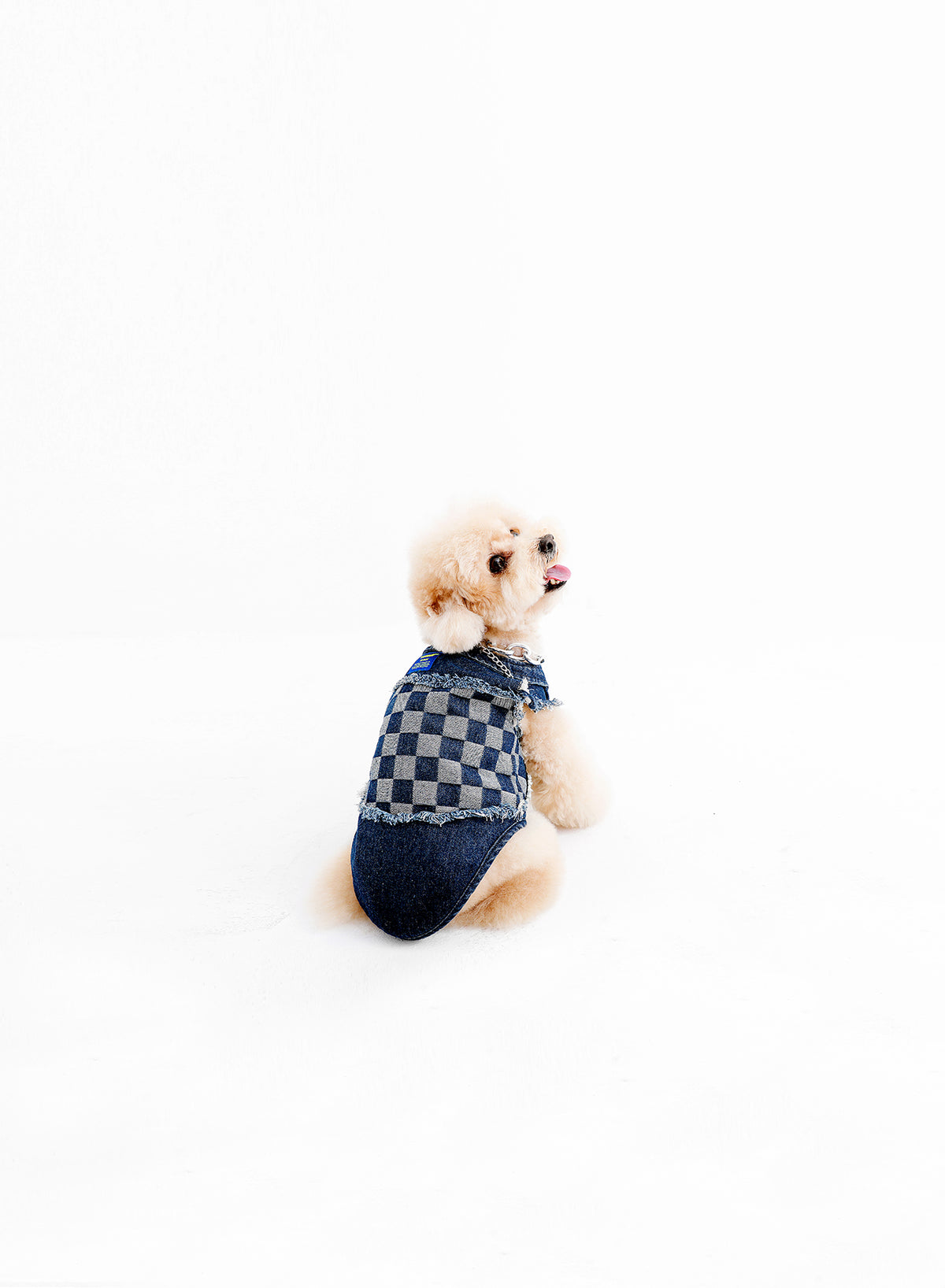 ROPA MASCOTAS MIKE TEDDY