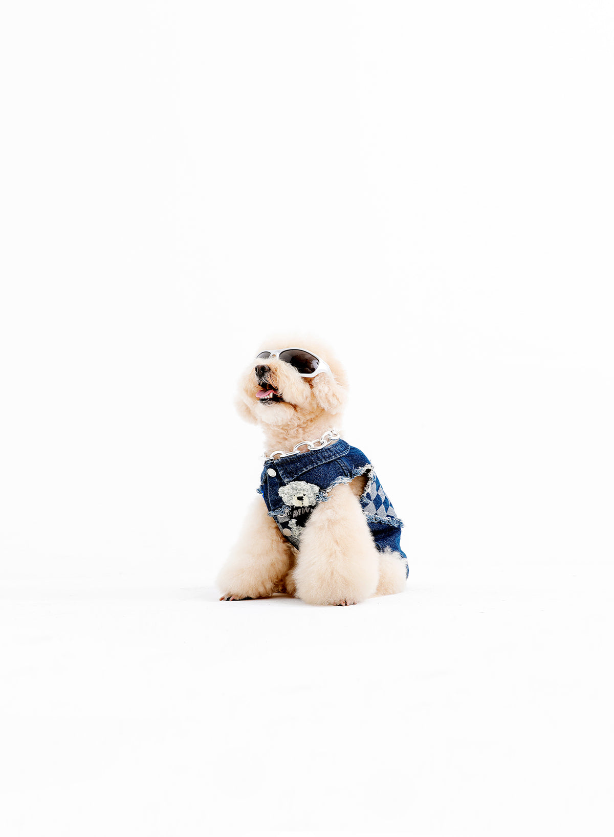 ROPA MASCOTAS MIKE TEDDY