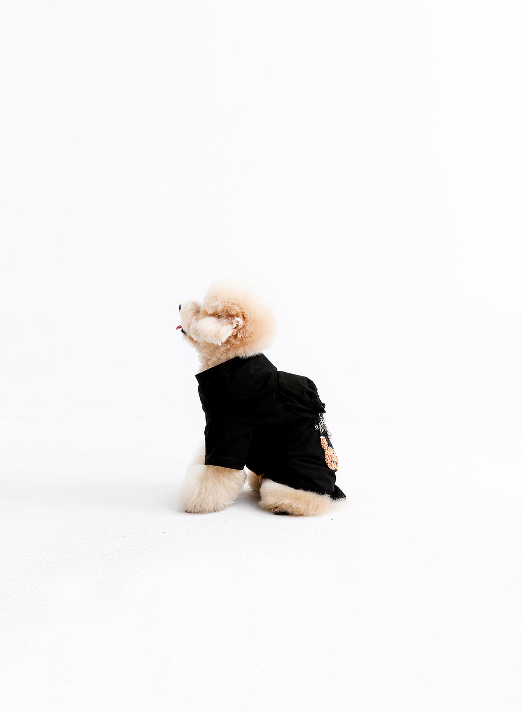 ROPA MASCOTAS MIKE TEDDY