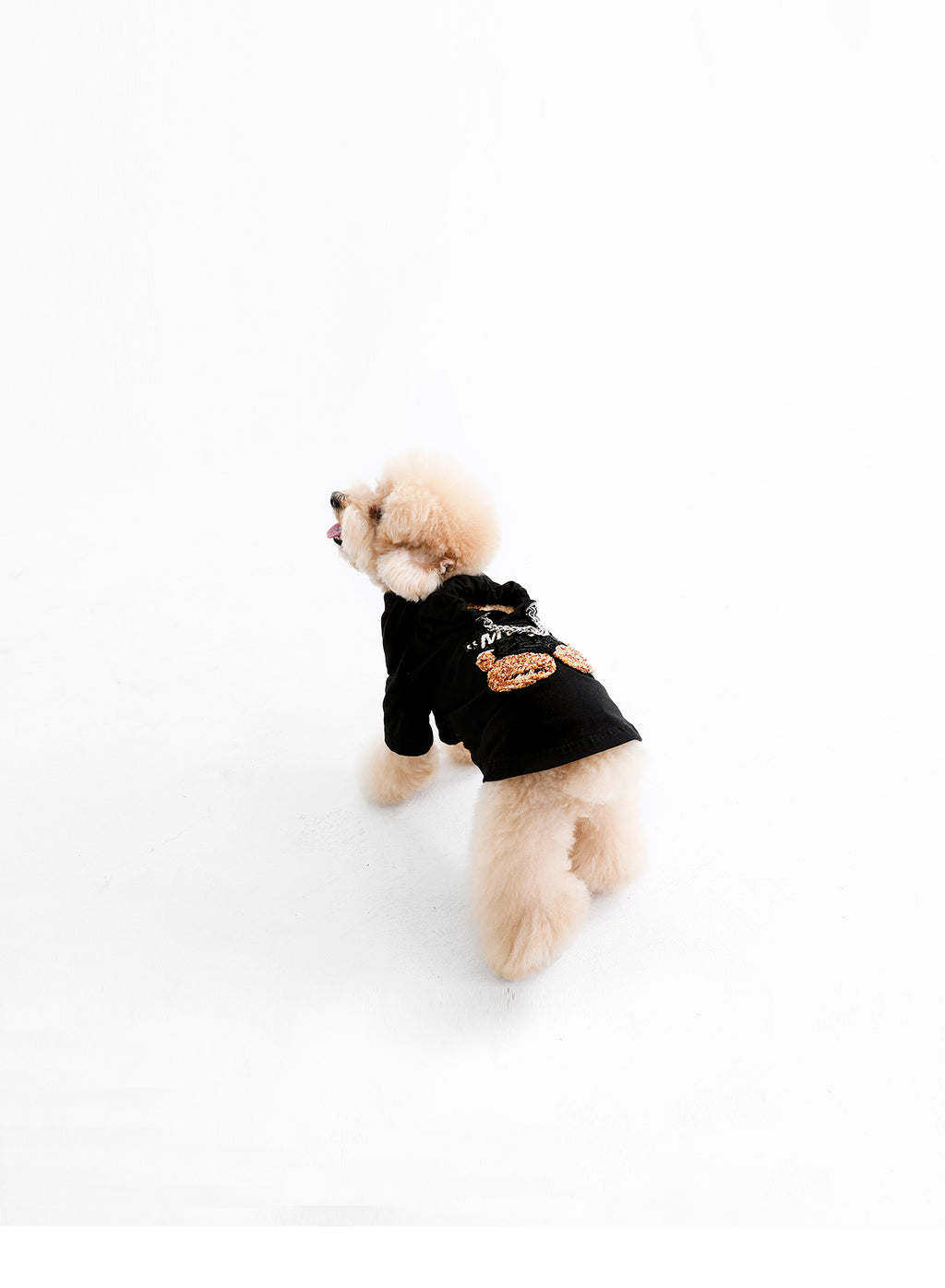 ROPA MASCOTAS MIKE TEDDY