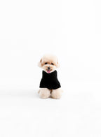 ROPA MASCOTAS MIKE TEDDY
