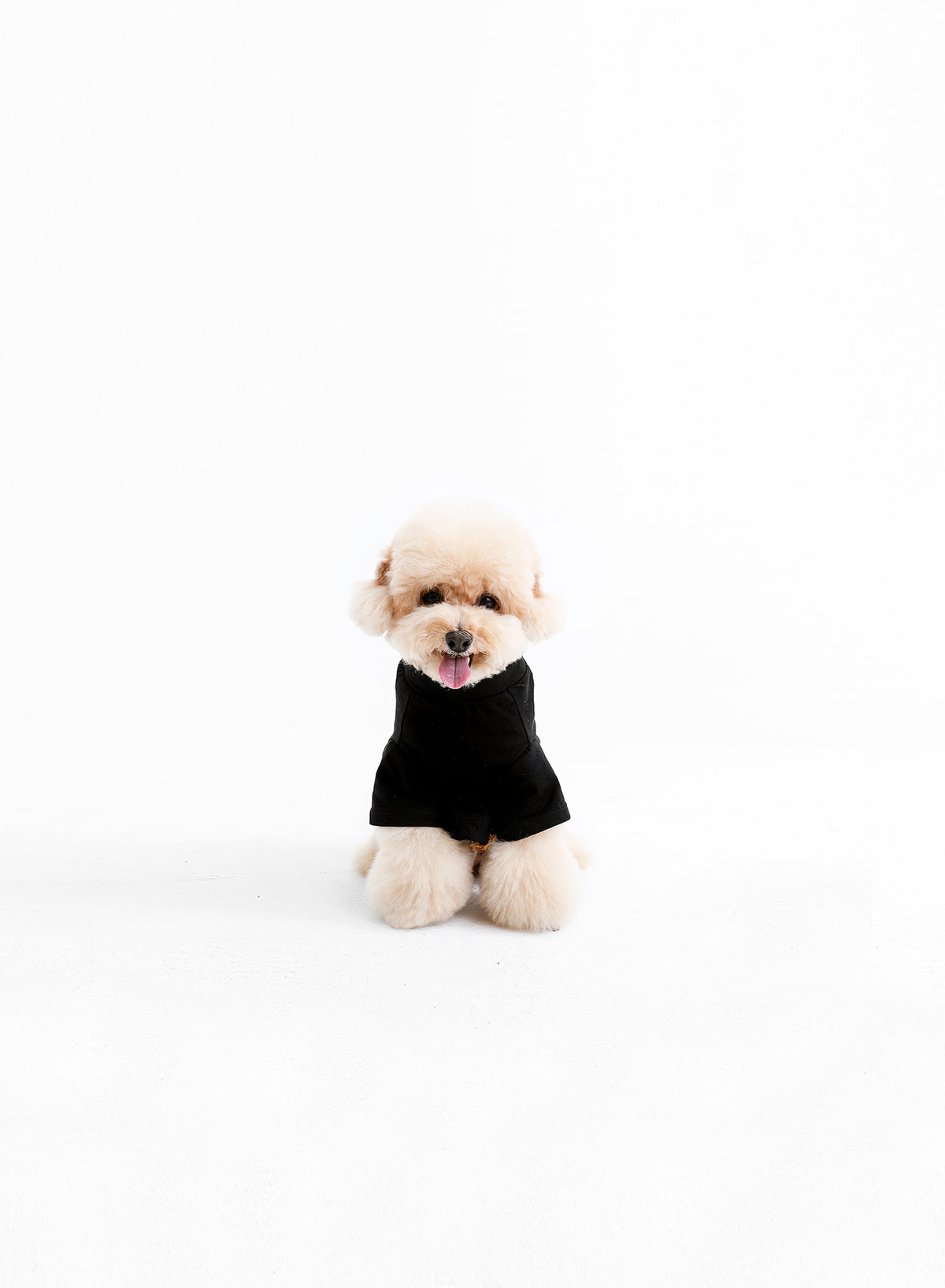 ROPA MASCOTAS MIKE TEDDY